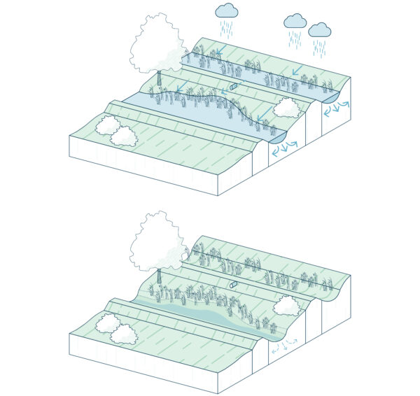 SBE waterontwerp door landschapbiografie